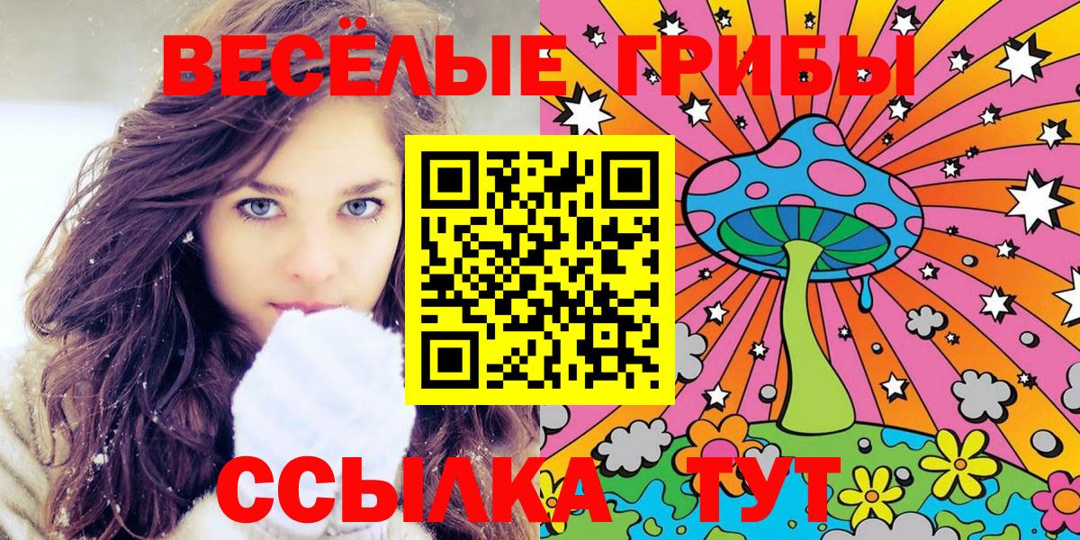 Псилоцибиновые грибы Psilocybe  Вход с VPN  наркошоп  Муром 
